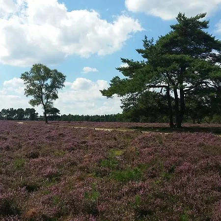 فندق مبيت وإفطار Azalea